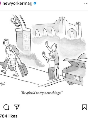 Be Afraid to Try New Things cartoon from New Yorker