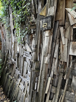 A Fence at Princess Park